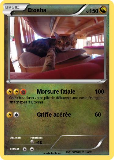 Pokemon Etosha