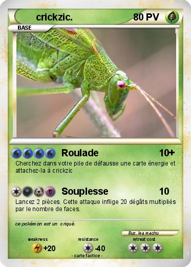 Pokemon crickzic.