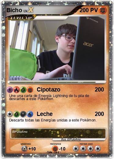 Pokemon Bicho