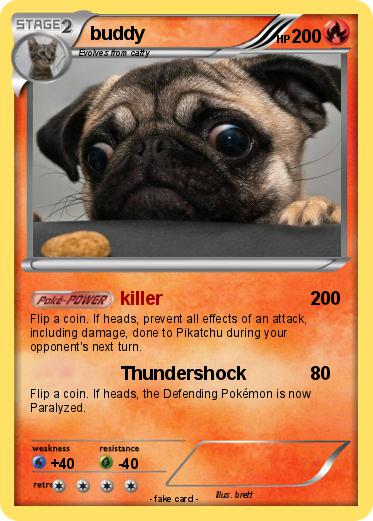 Pokemon buddy