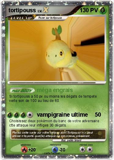Pokemon tortipouss