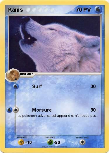 Pokemon Kanis