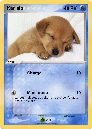 Pokemon Kanisio