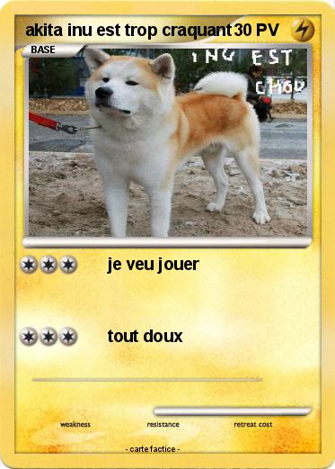 Pokemon akita inu est trop craquant