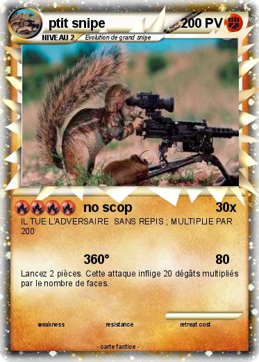 Pokemon ptit snipe