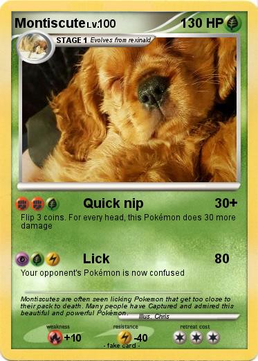 Pokemon Montiscute