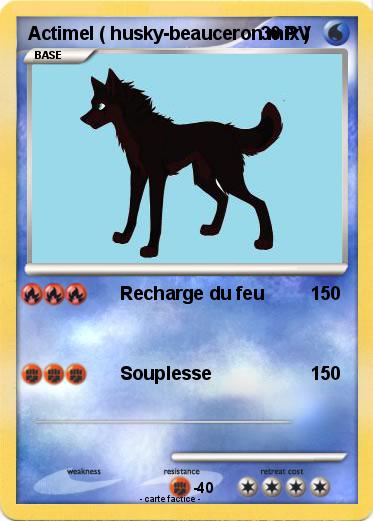 Pokemon Actimel ( husky-beauceron mix )