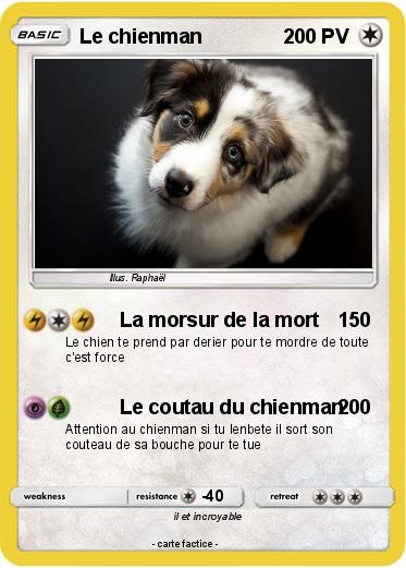Pokemon Le chienman