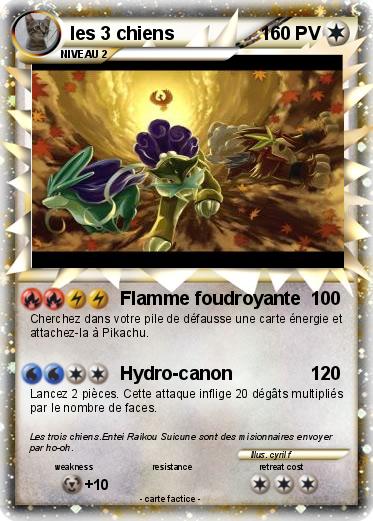 Pokemon les 3 chiens
