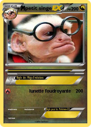 Pokemon petit singe