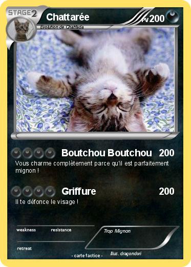 Pokemon Chattarée