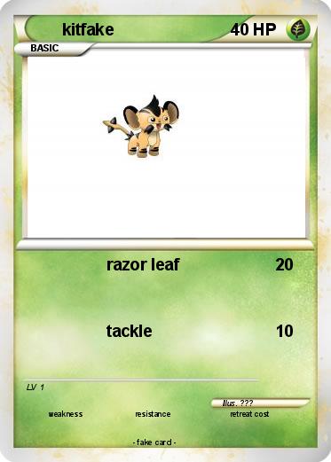 Pokemon kitfake