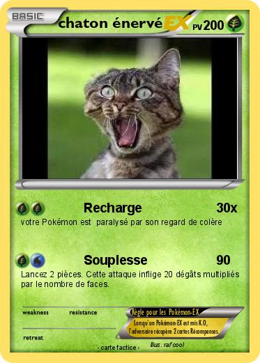 Pokemon chaton énervé