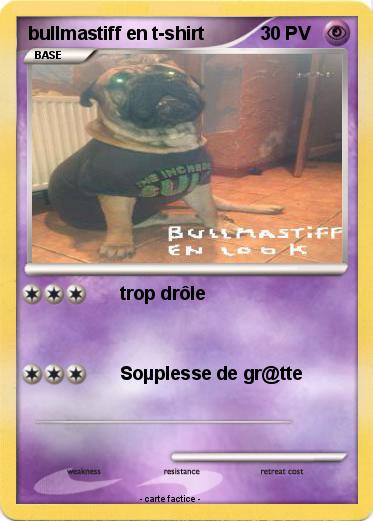 Pokemon bullmastiff en t-shirt