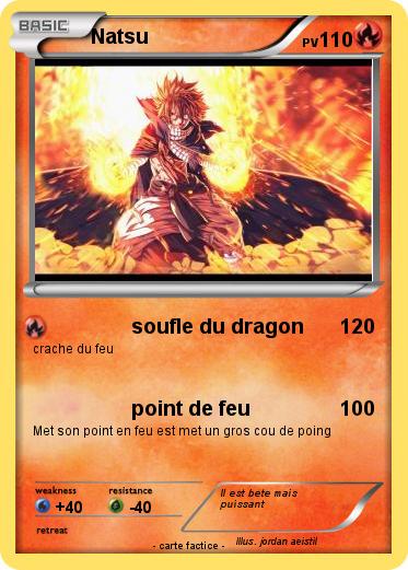 Pokemon Natsu