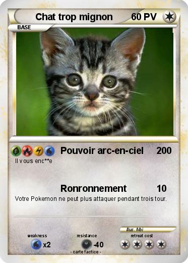 Pokemon Chat trop mignon