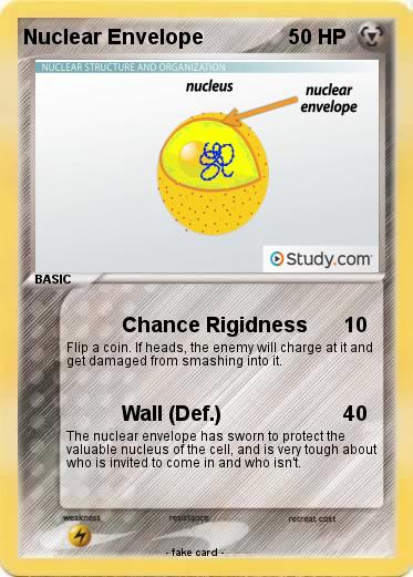 Pokemon Nuclear Envelope