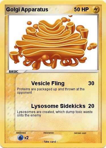 Pokemon Golgi Apparatus