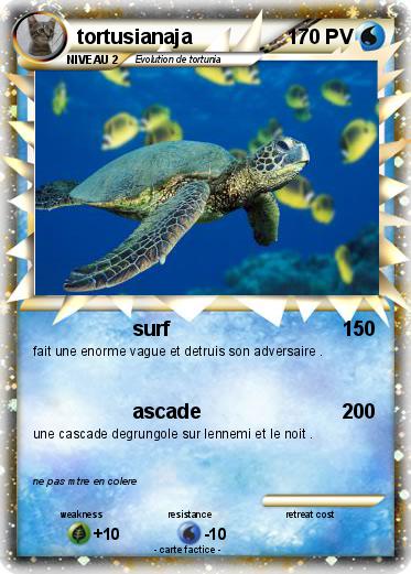 Pokemon tortusianaja