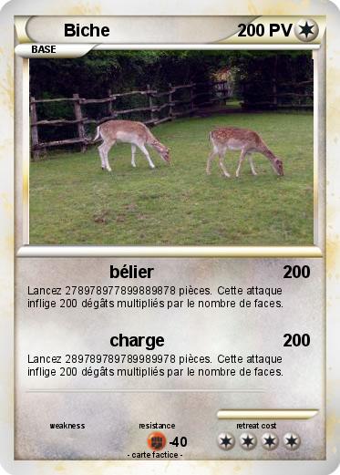 Pokemon Biche