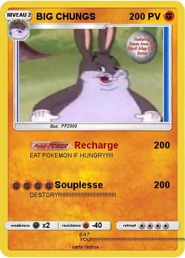 Pokemon BIG CHUNGS