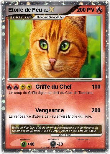 Pokemon Etoile de Feu