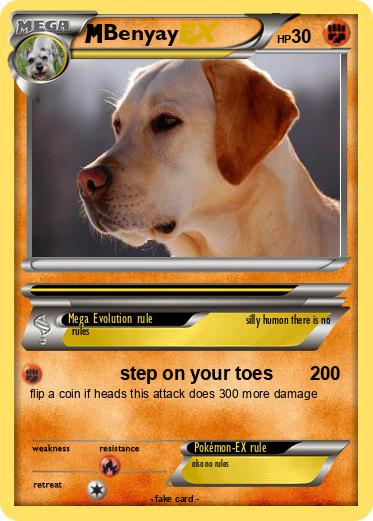 Pokemon Benyay