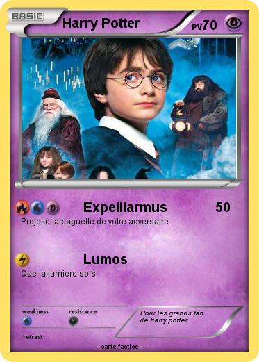 Pokemon Harry Potter