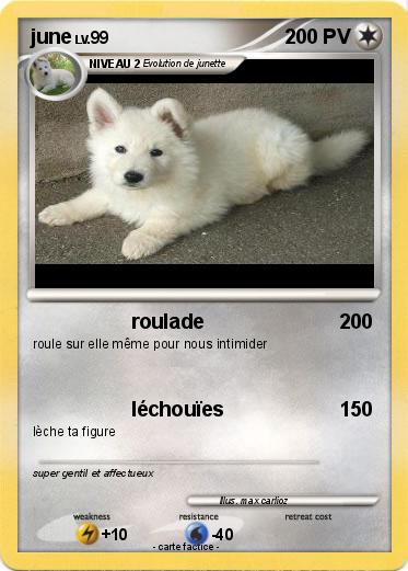 Pokemon june