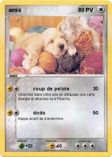 Pokemon amis