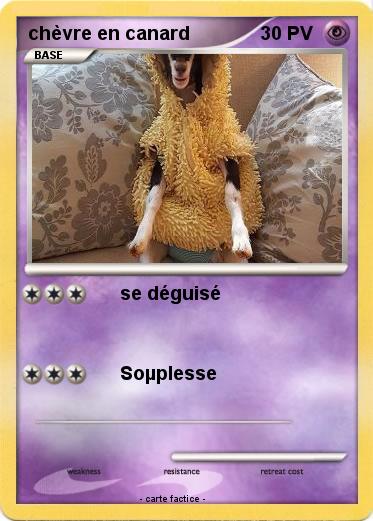 Pokemon chèvre en canard