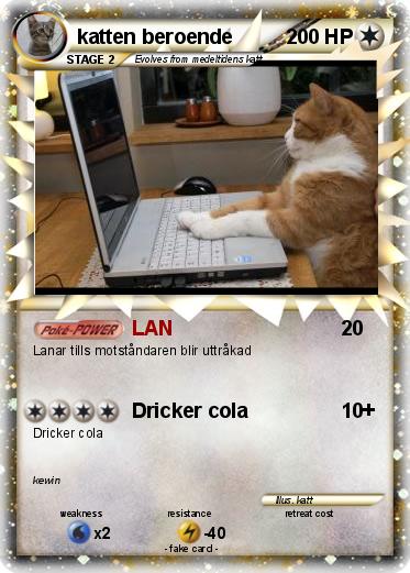 Pokemon katten beroende
