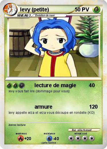 Pokemon levy (petite)