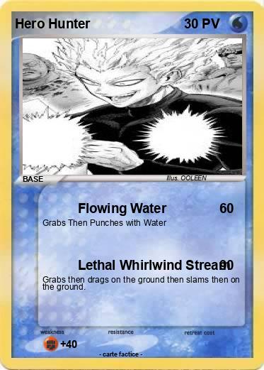 Pokemon Hero Hunter
