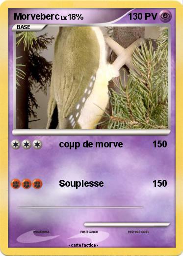 Pokemon Morveberc