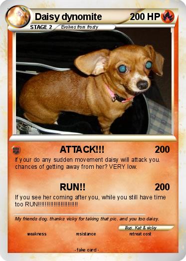 Pokemon Daisy dynomite