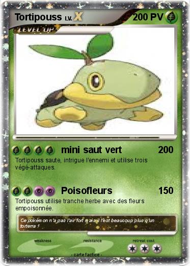 Pokemon Tortipouss