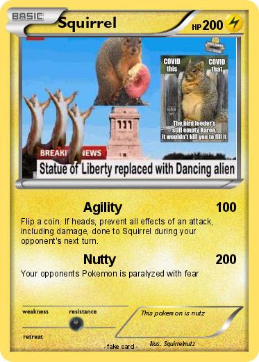 Pokemon Squirrel