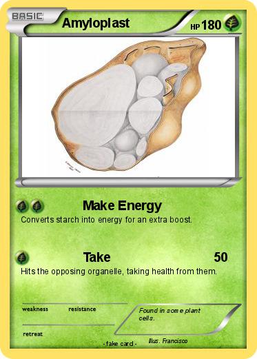 Pokemon Amyloplast
