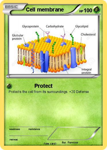 Pokemon Cell membrane