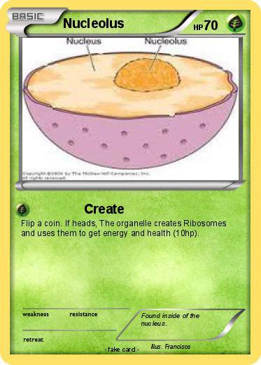 Pokemon Nucleolus