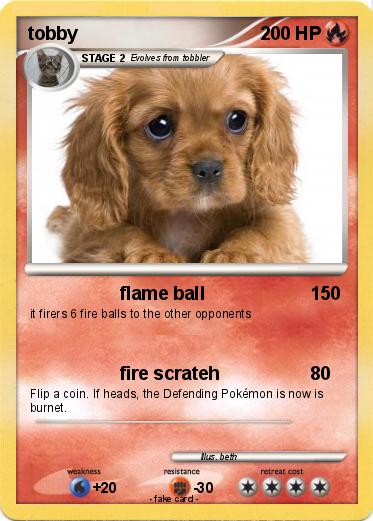 Pokemon tobby