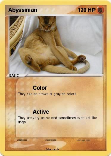 Pokemon Abyssinian