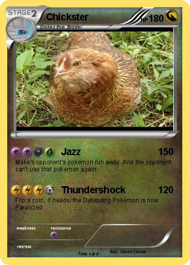 Pokemon Chickster