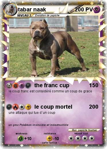 Pokemon tabar naak