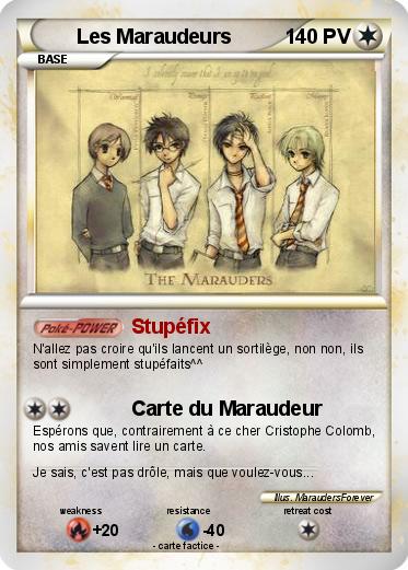 Pokemon Les Maraudeurs