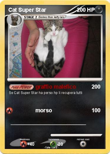Pokemon Cat Super Star