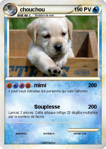 Pokemon chouchou