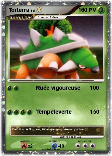Pokemon Torterra