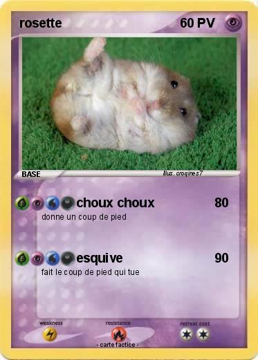 Pokemon rosette